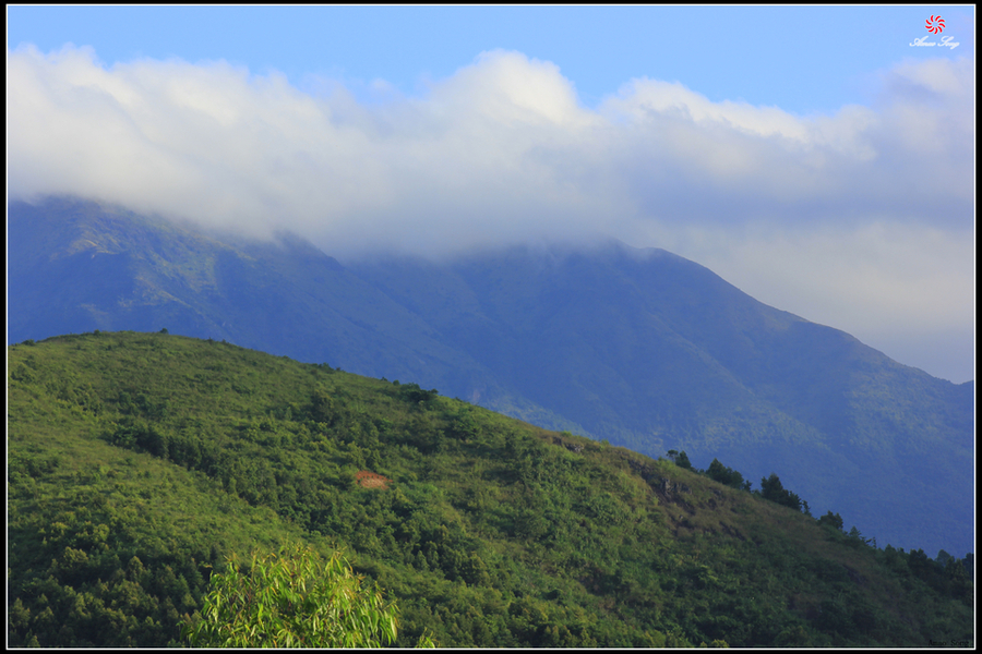 远眺大芹山