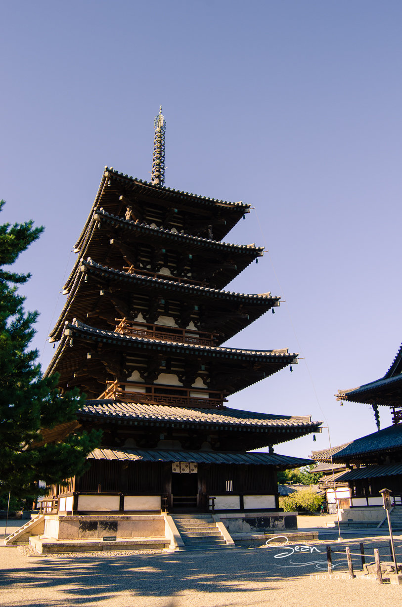 【奈良的鹿与寺摄影图片】风光旅游摄影