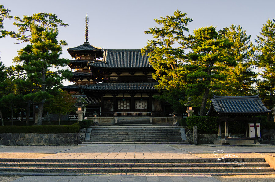 【奈良的鹿与寺摄影图片】风光旅游摄影
