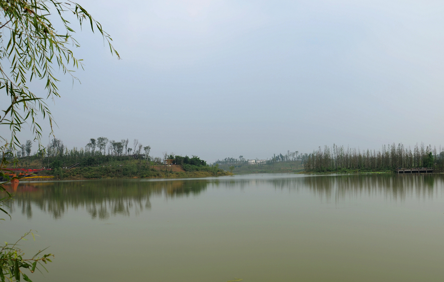 白鹭湾湿地公园