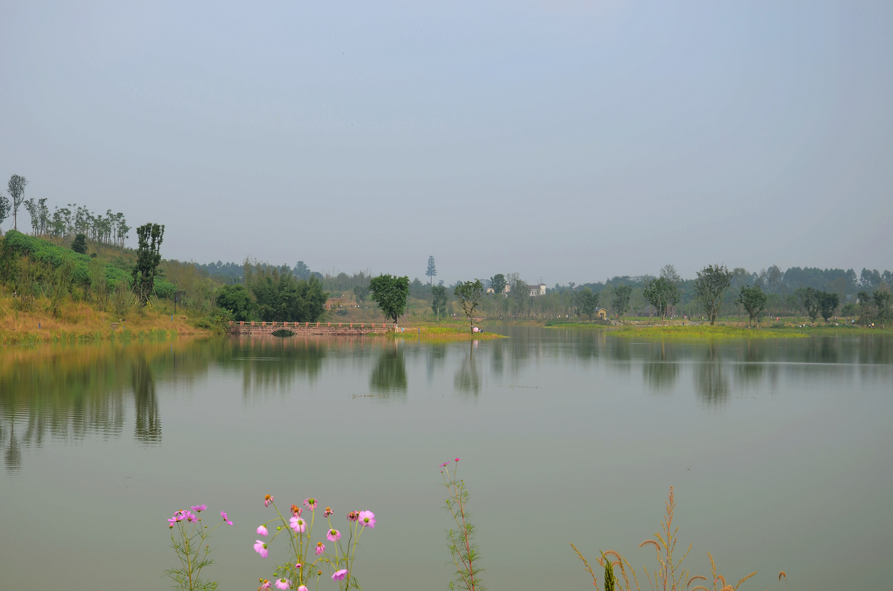 白鹭湾湿地公园