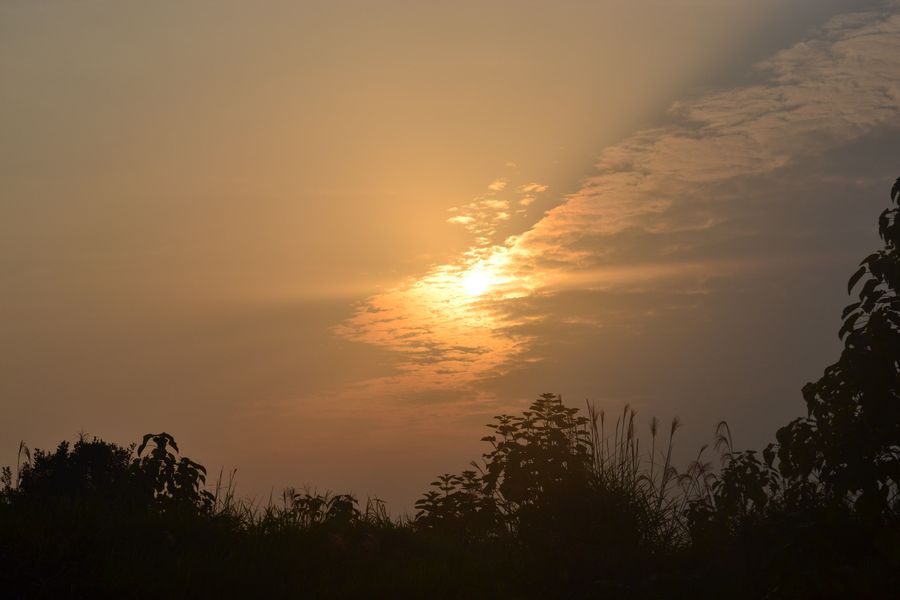 夕阳无限好,只是近黄昏