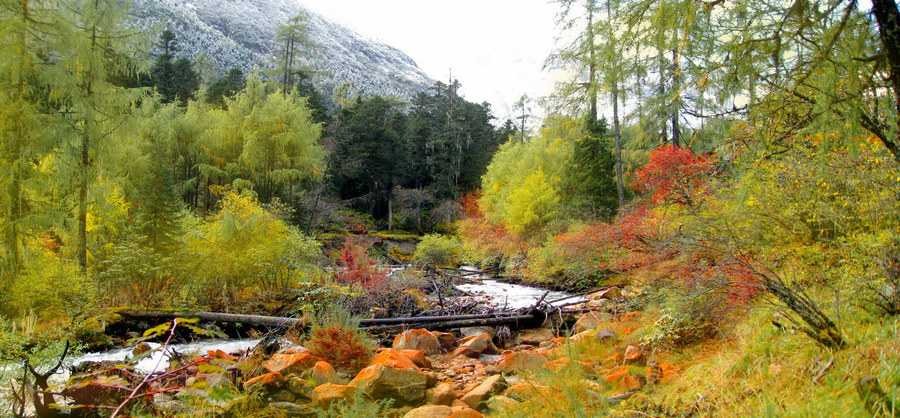 天下美景-----四川毕棚沟