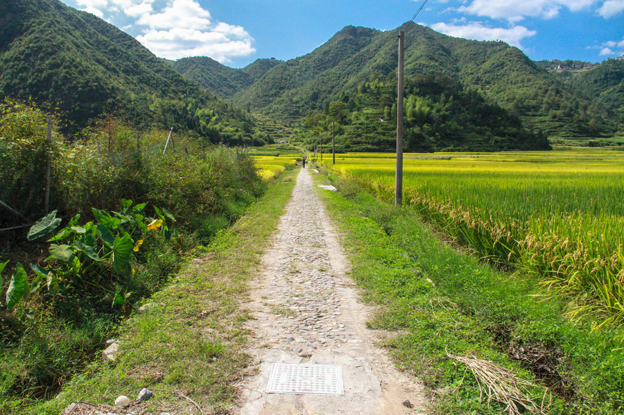 宁海白溪村