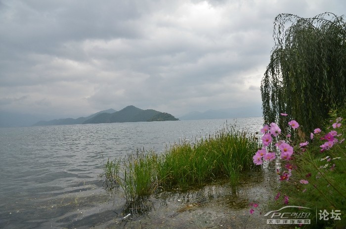 【错峰出游云南泸枯湖-丽江-双廊自驾游摄影图