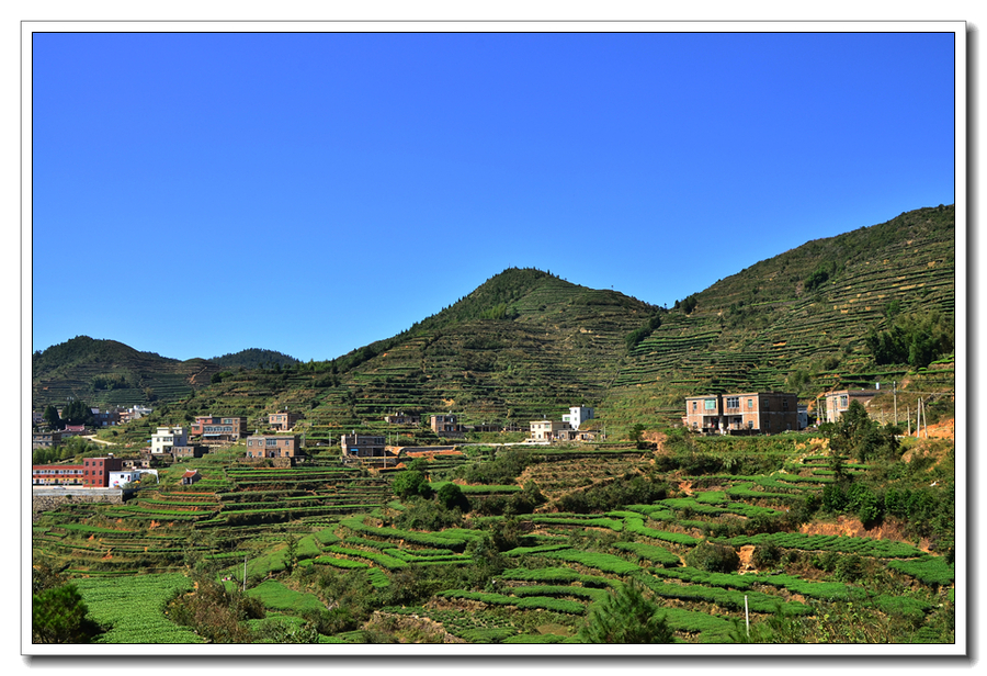 厦门西坑村_厦门同安西坑村