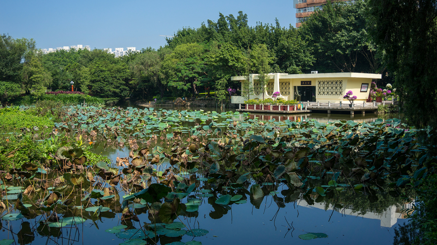 深圳市人民公园(一)