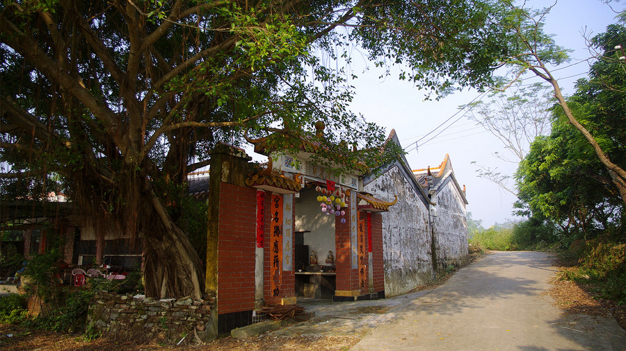 阳东县大八镇吉山村之乡村小景