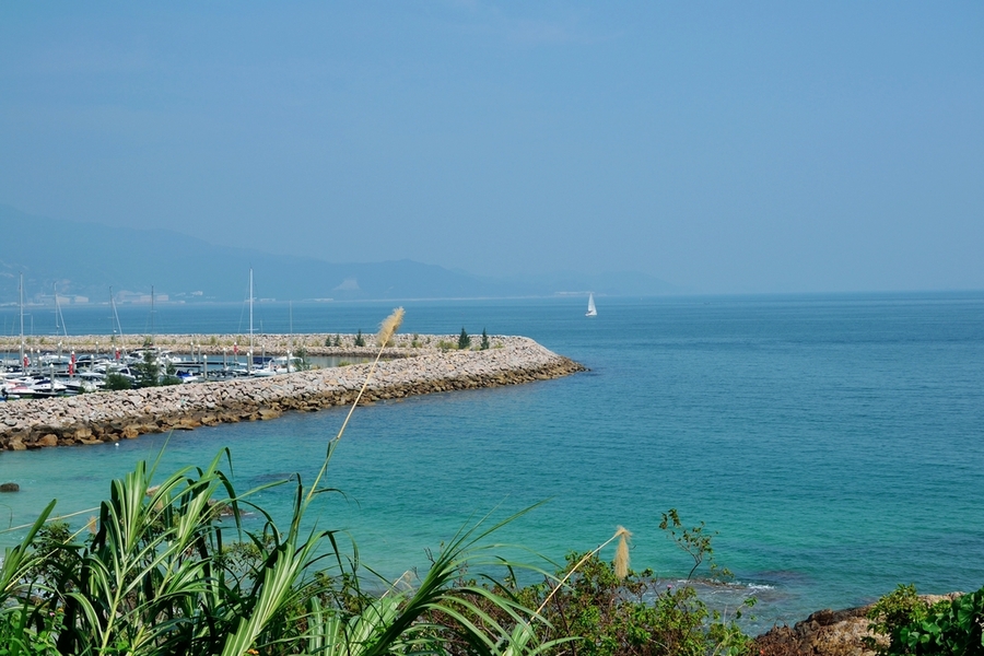 大鹏半岛杨梅坑