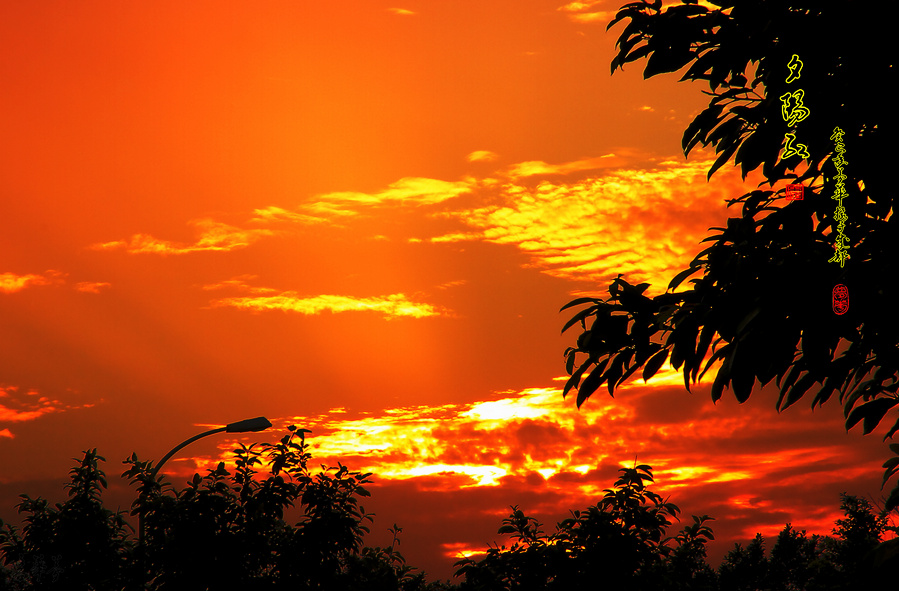 夕阳红—重阳节的祝福!