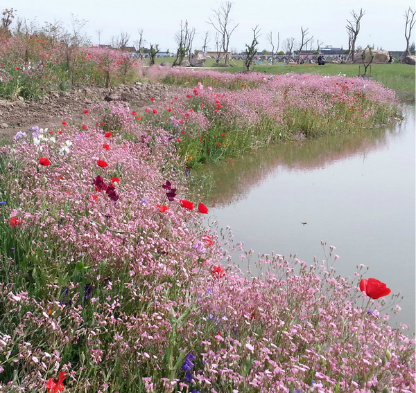 rose park—上海浦江玫瑰园