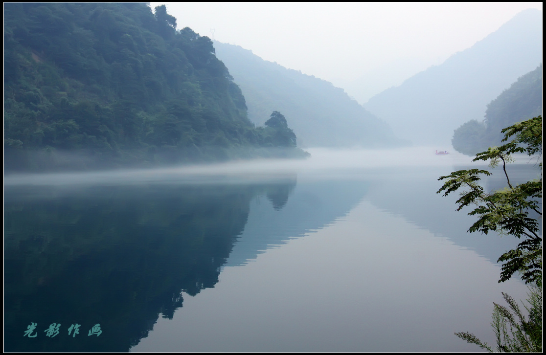 情洒雾江"一网"情深