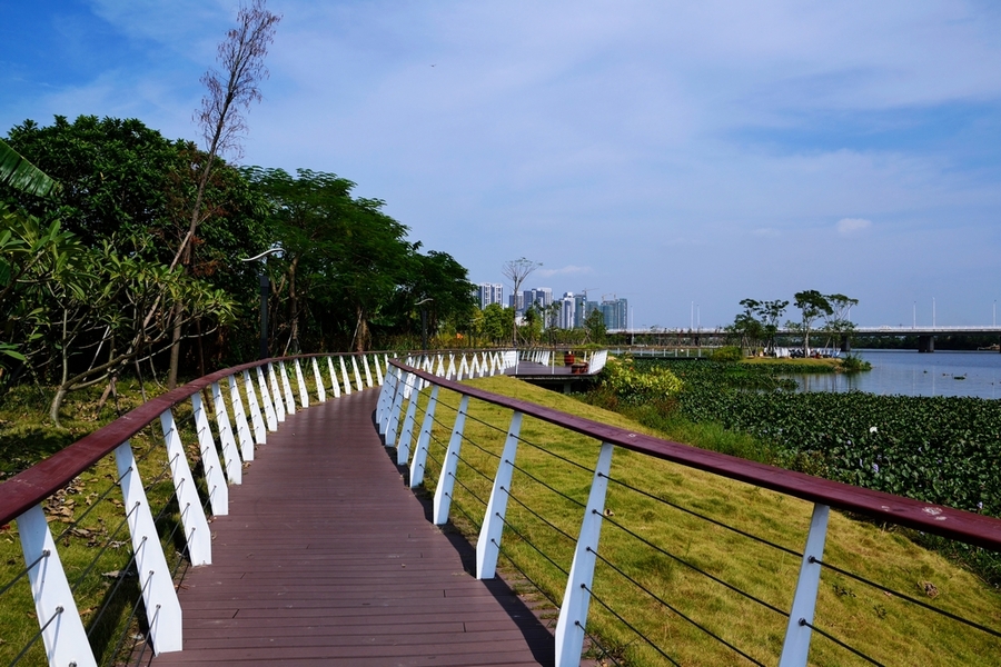 金山湖湿地公园