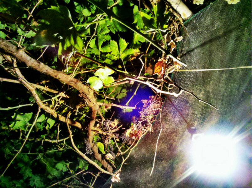 【神的恩赐,如画新疆(二)摄影图片】风光旅游摄