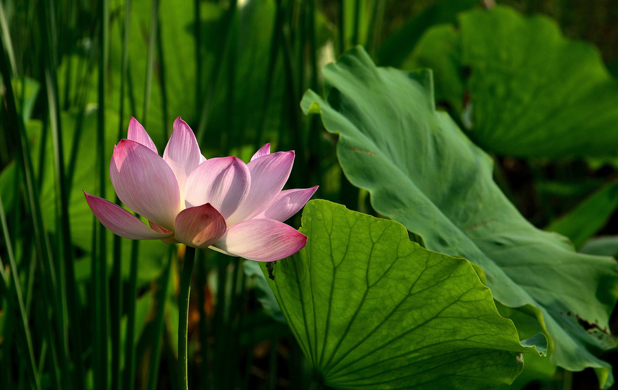 【风流大杂烩摄影图片】风光旅游摄影