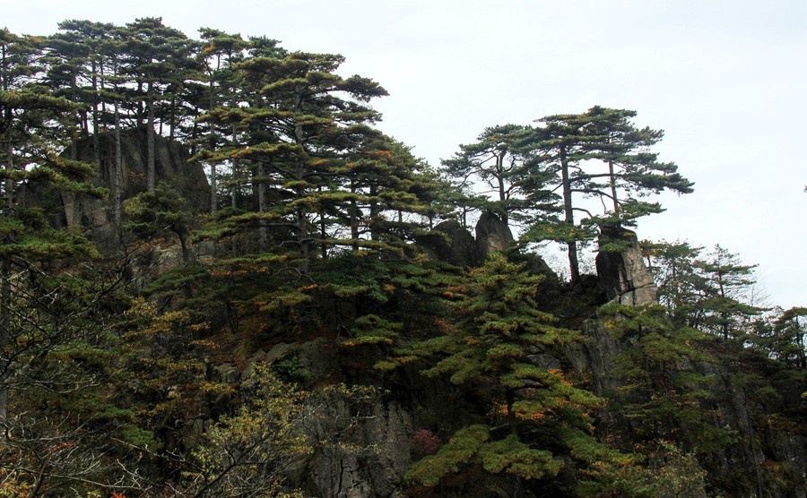 【崇山峻岭 自强不息 -- 于贤娇 摄摄影图片】风