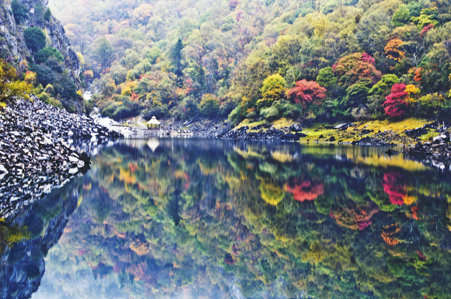 茂县松坪沟秋色