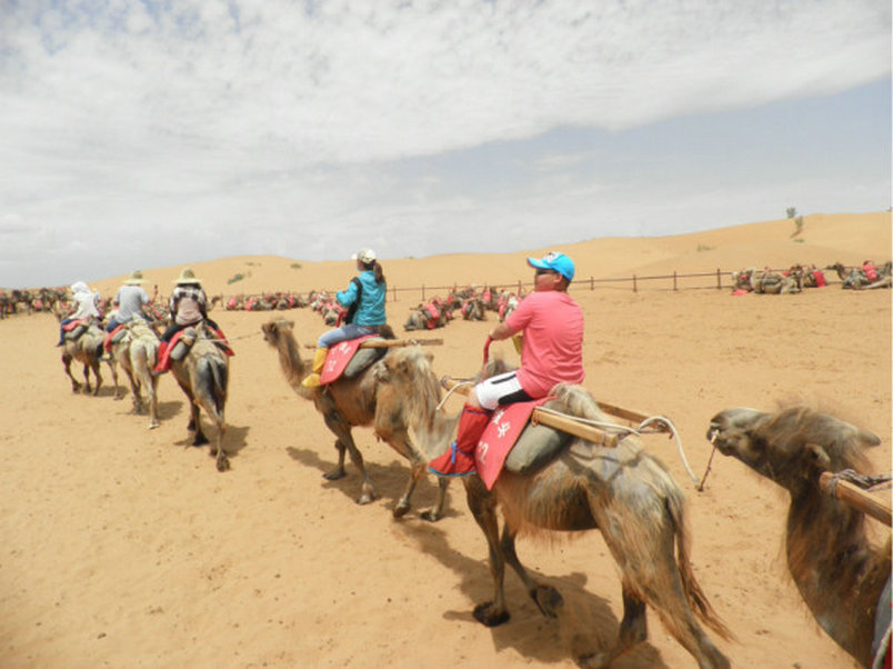 【青岛到银川中卫5日自助游摄影图片】风光旅