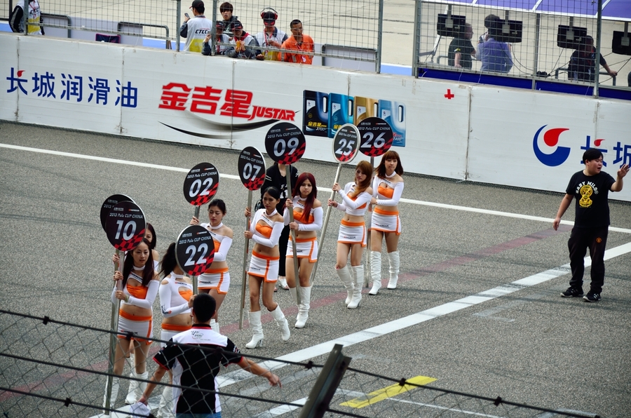 【上海国际赛车场WTCC赛事摄影图片】生活摄