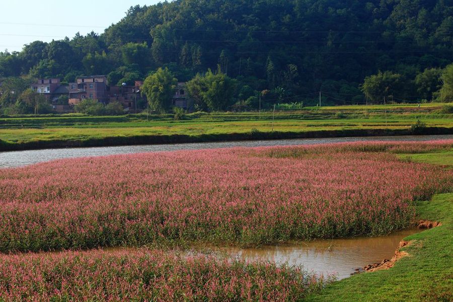 秋日乡村风景 (共p)