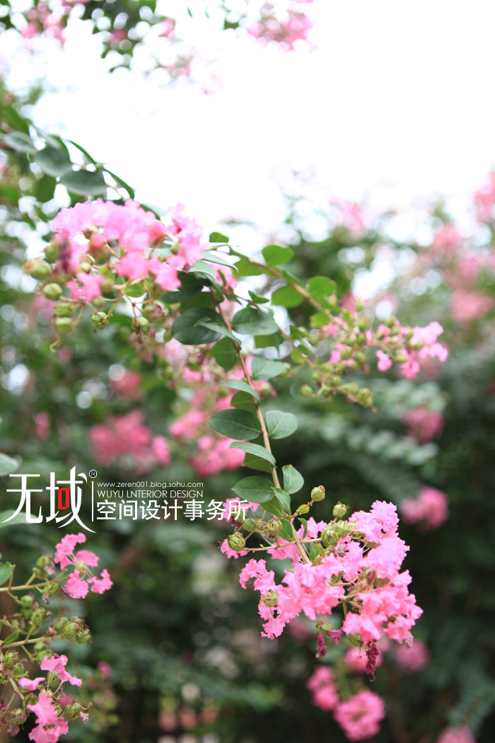 【无敌兔拍摄北京昌平某别墅景观乡村,多交流2017庭院三别墅图年层图片