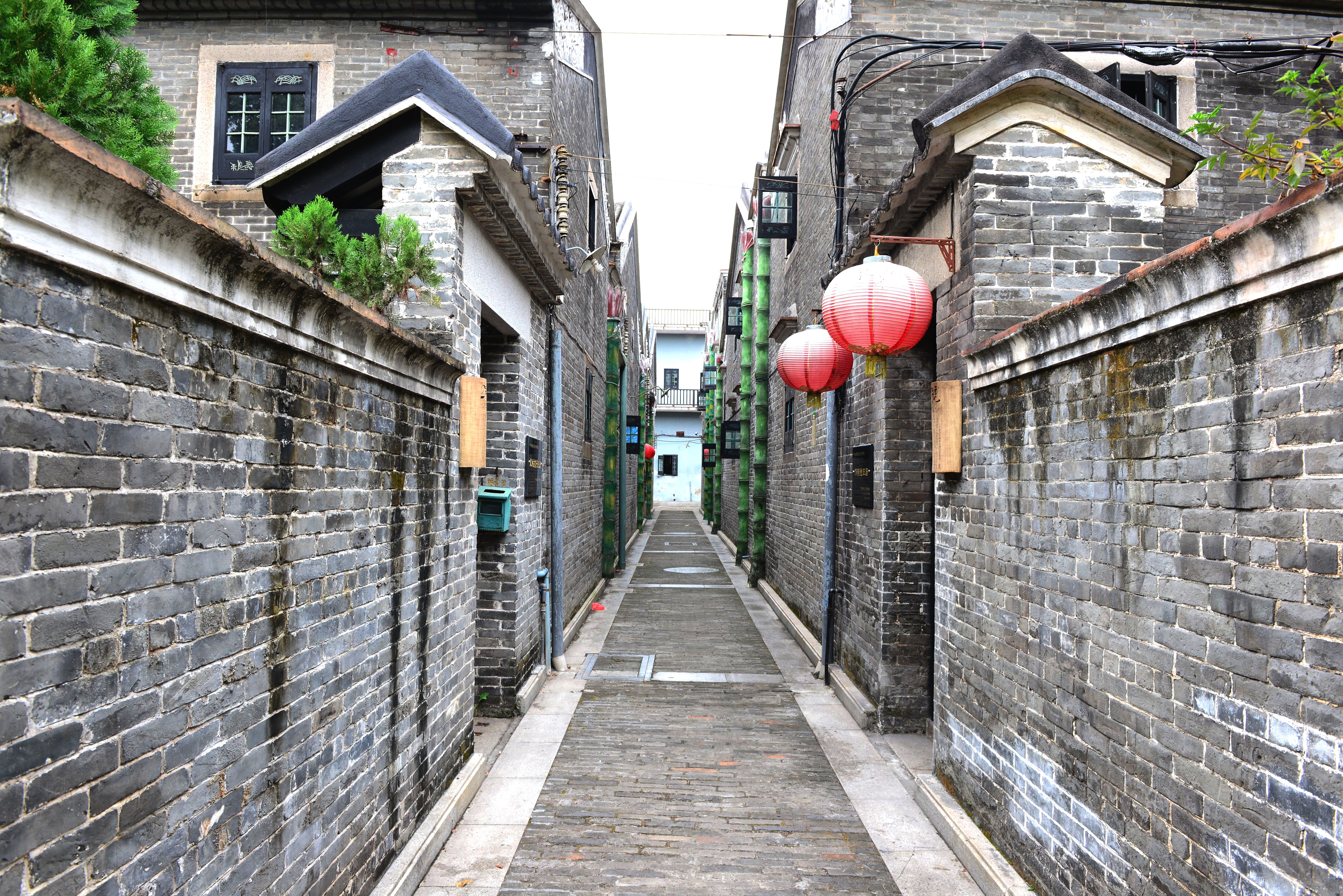 广州荔湾聚龙古村