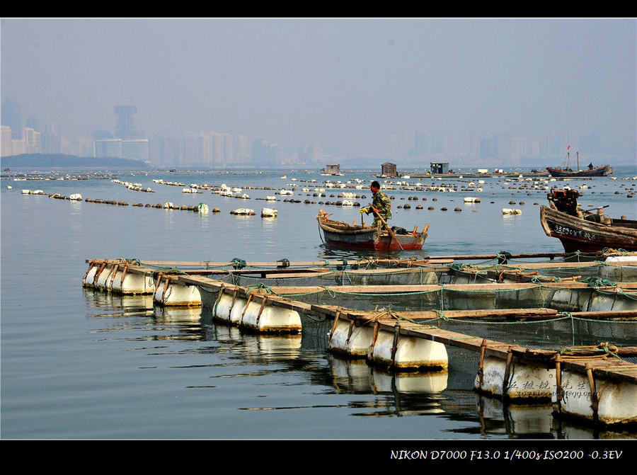 海上养殖场《二》