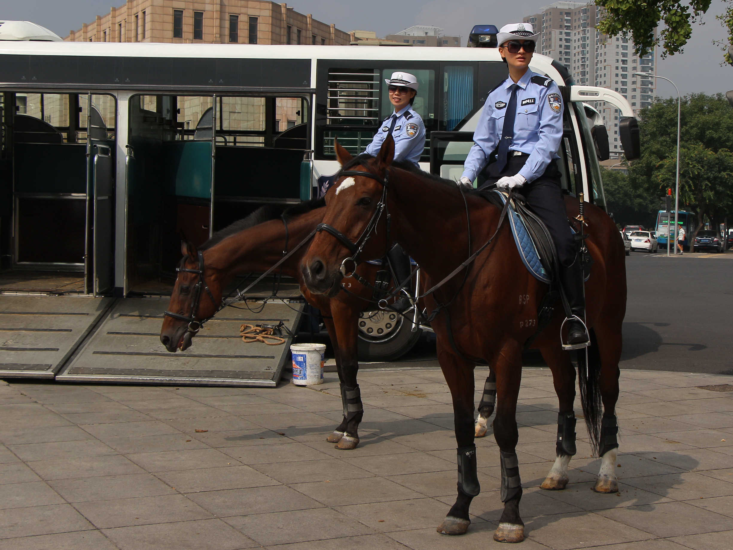 骑警风采