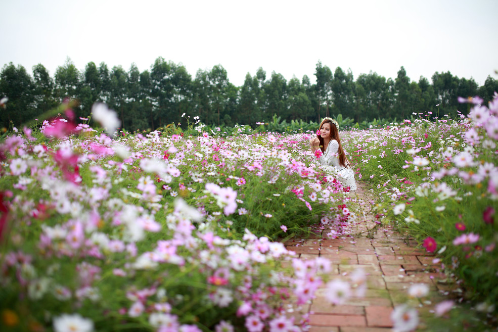 花丛中的女孩