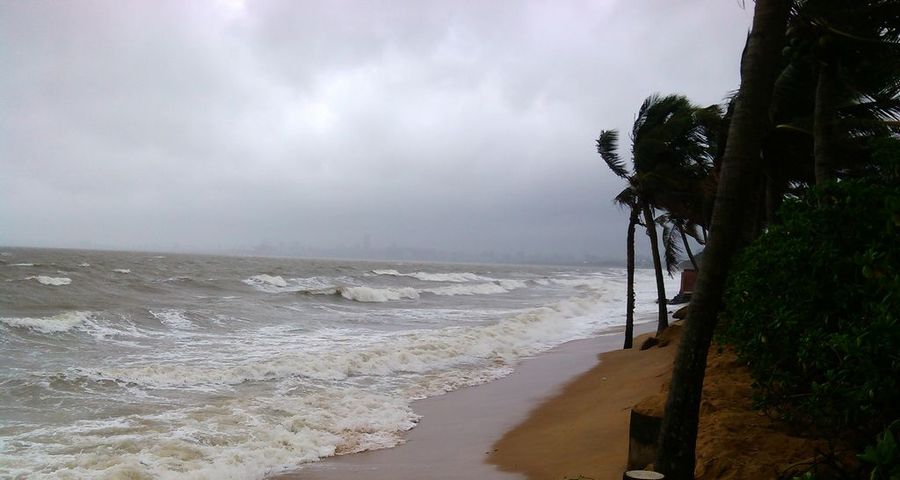 【台风--海浪涌--椰树摄影图片】风光旅游摄影