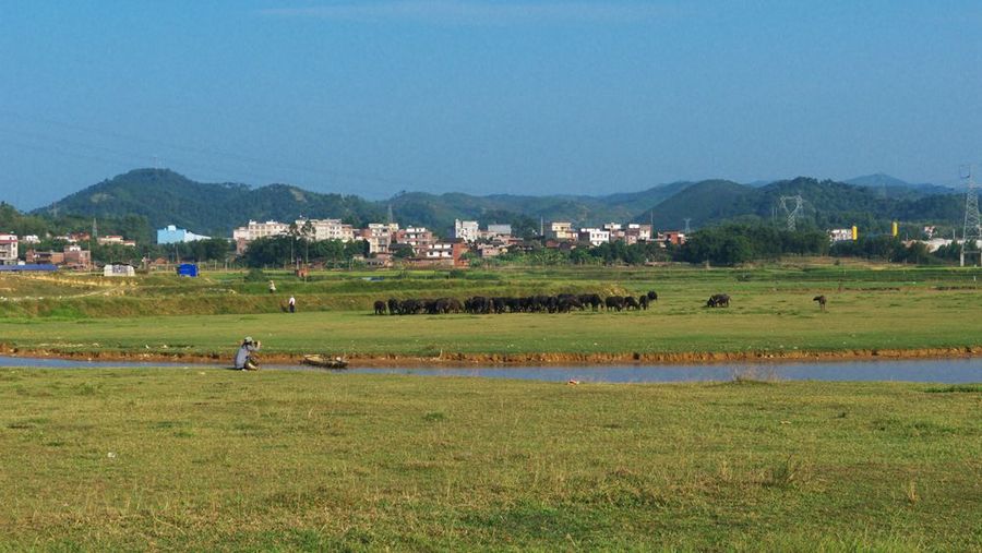 走进乡村(一)