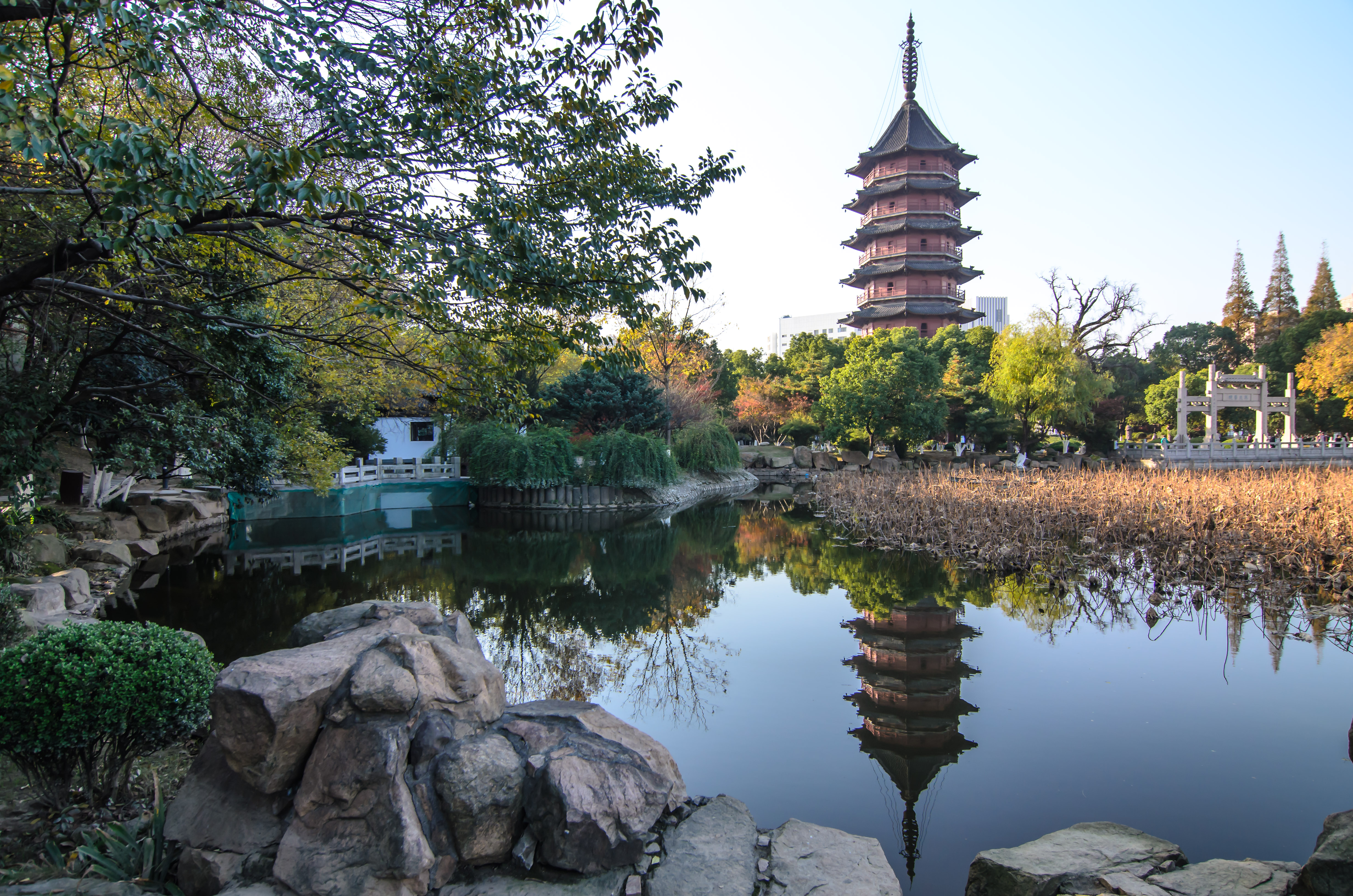 晴日重拍飞英公园