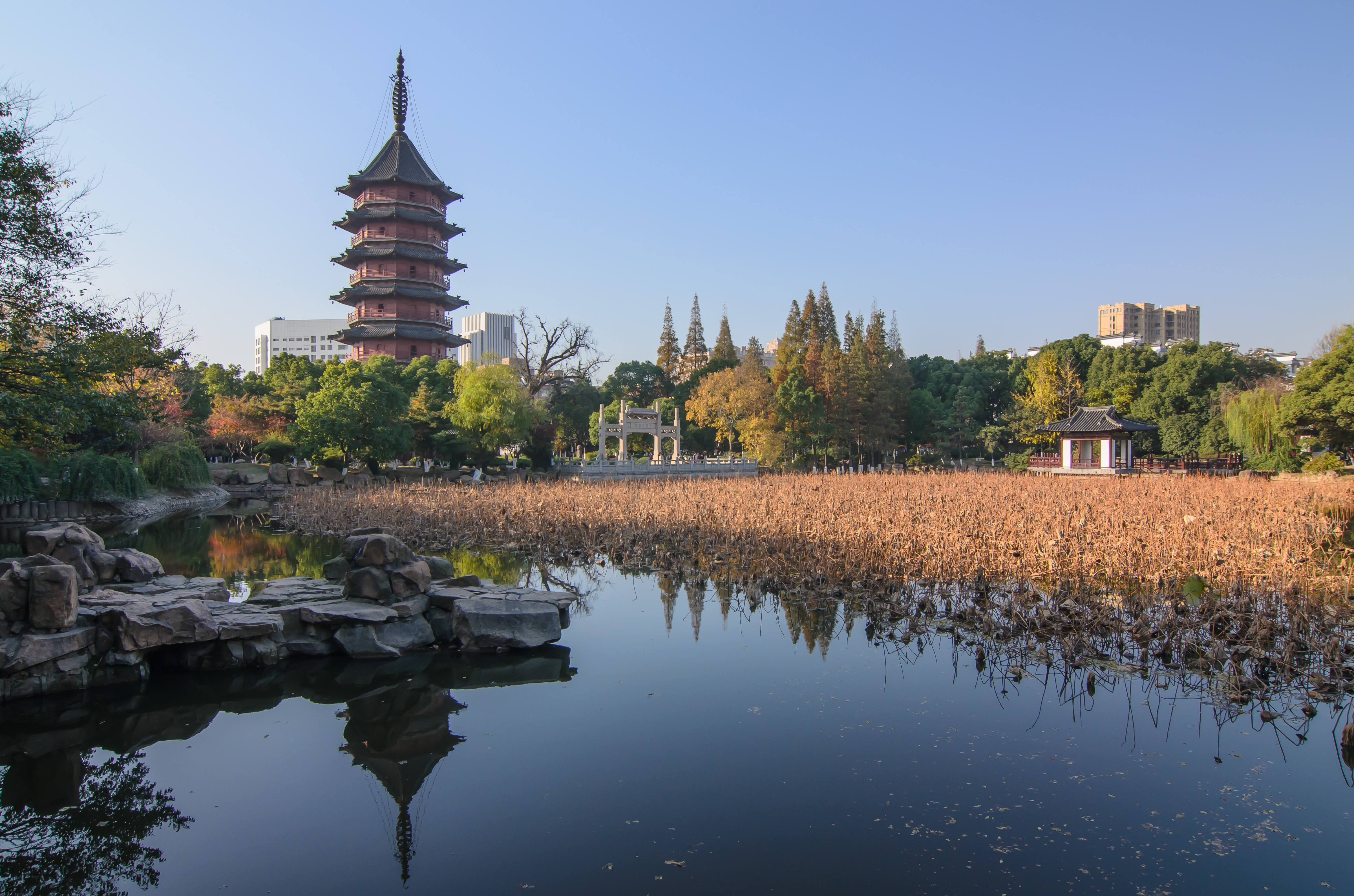晴日重拍飞英公园