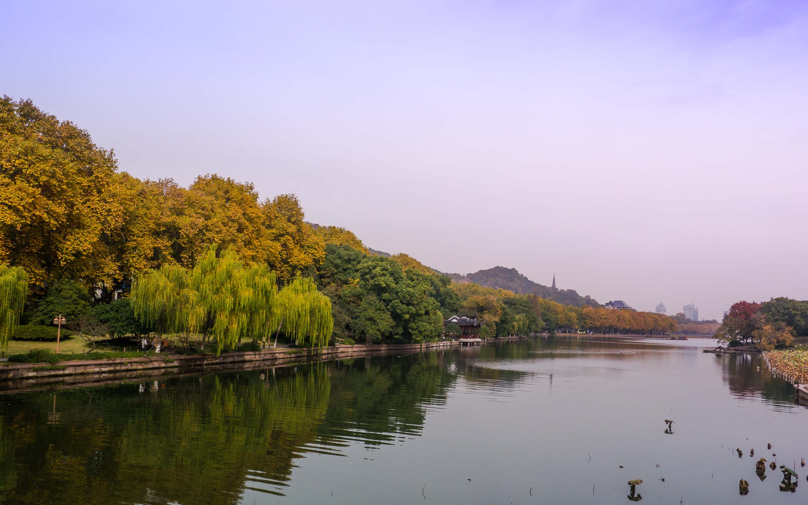 杭州初冬美景(三)---秋殇