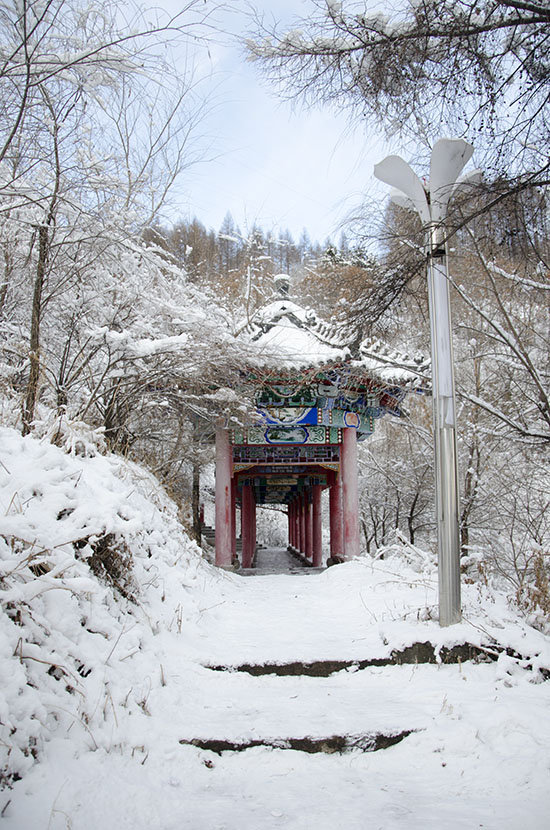 公园里的雪景(一)