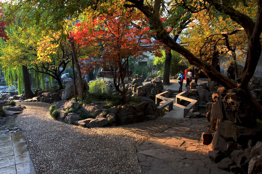 园林风景 上海豫园