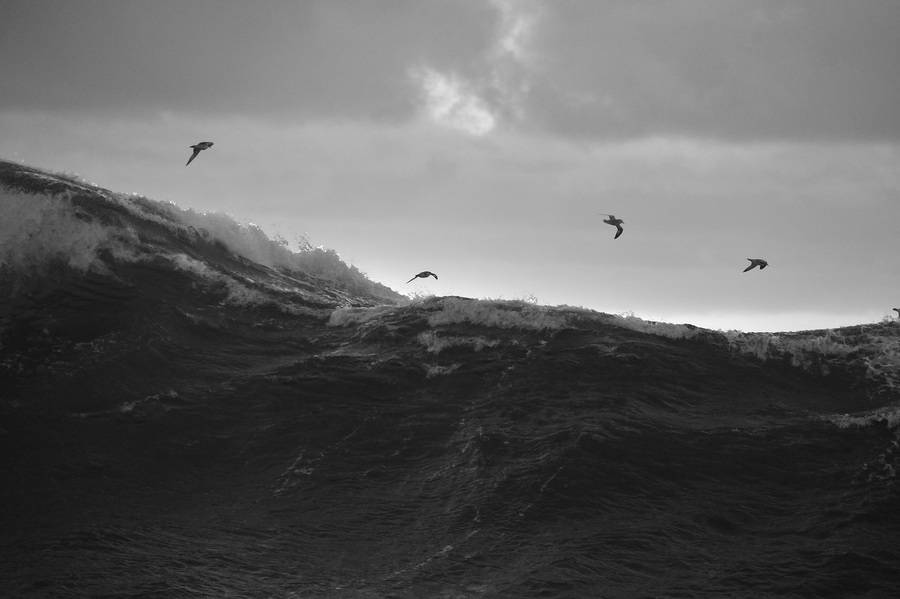 【德雷克海峡的风浪摄影图片】风光摄影