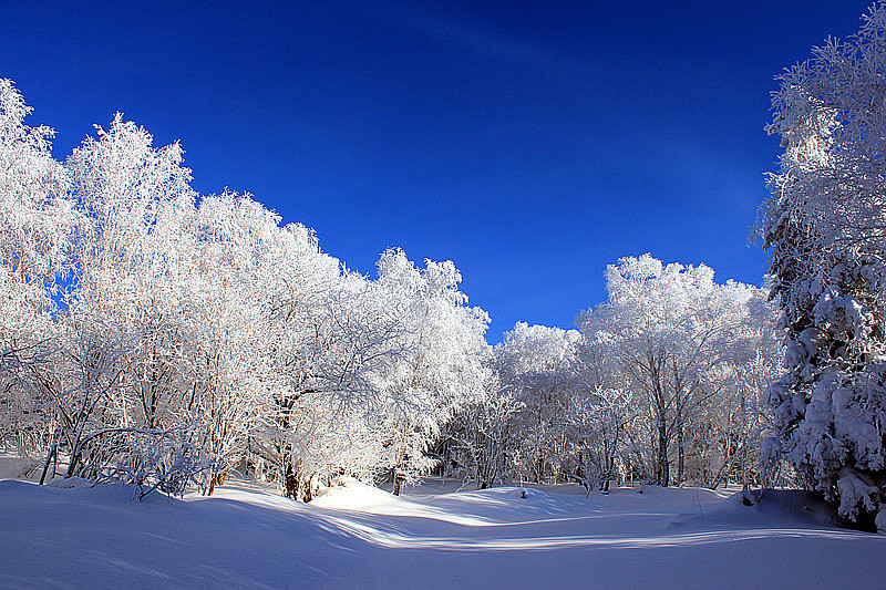 我来到了白雪王国