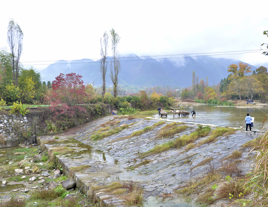 山水小村