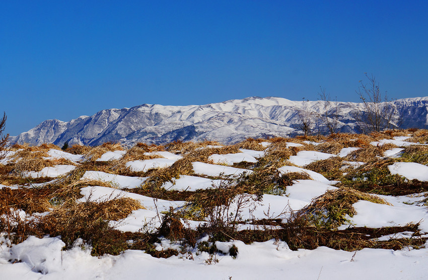 东川红土地雪景2(9/10)