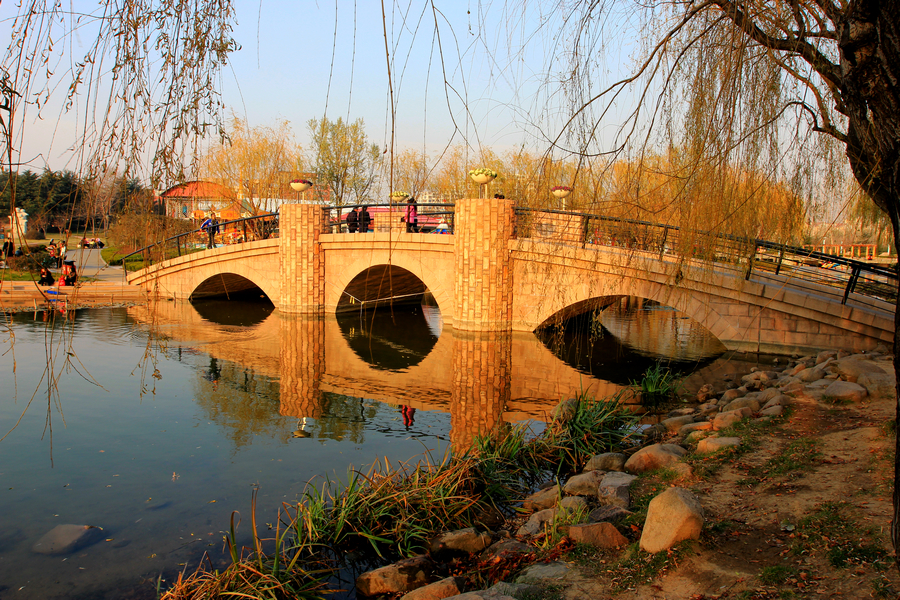 【深秋之青岛城阳公园摄影图片】风光旅游摄影