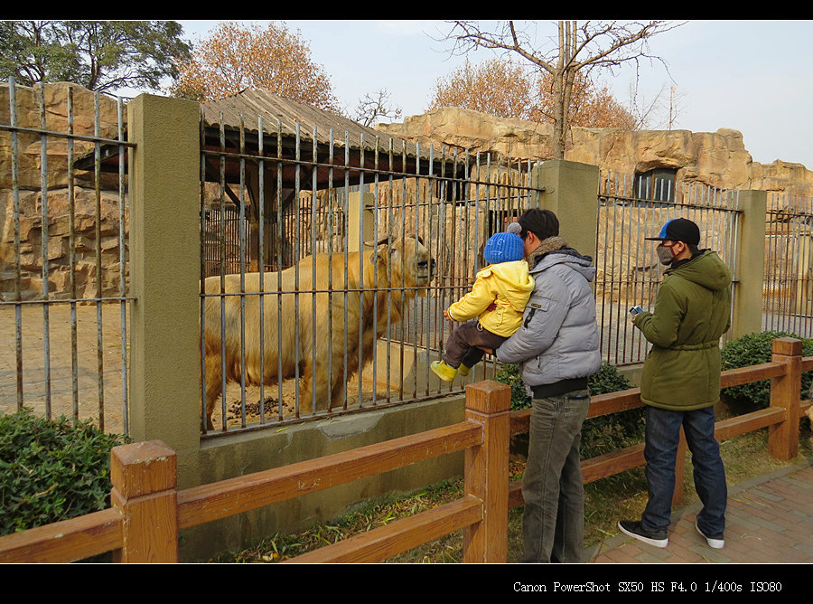 【苏州动物园(东园)之三摄影图片】风光旅游摄