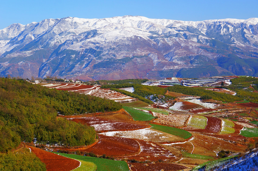 东川红土地雪景3