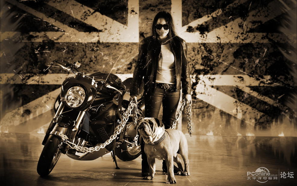 Vliner Bulldog定制版摩托宽屏壁纸