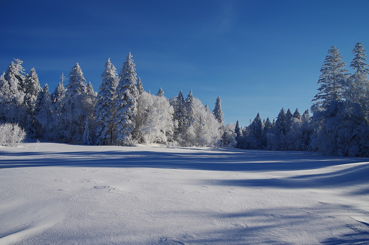 雪地光影