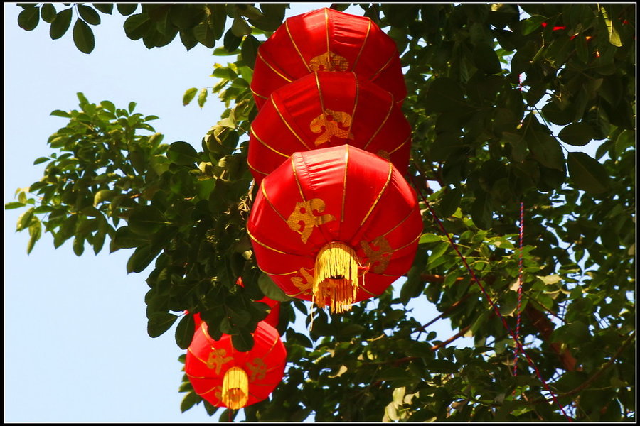 大红灯笼高高挂——借此帖给各位摄友拜个早年