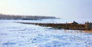 美丽的内蒙古大草原（五）----额尔古纳冬天