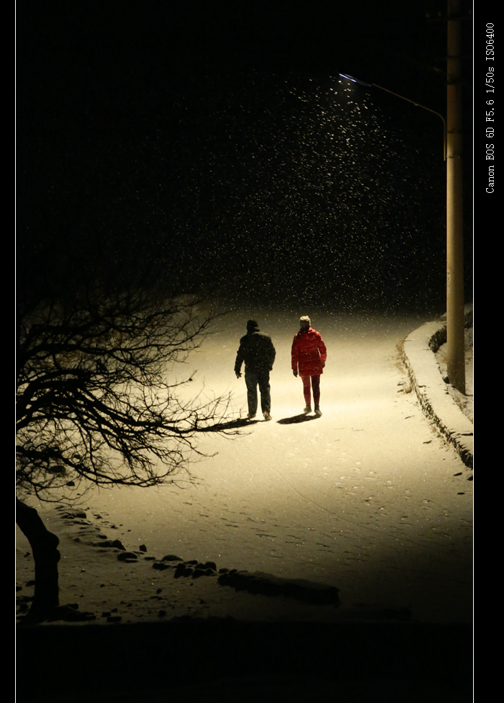 《夜雪》