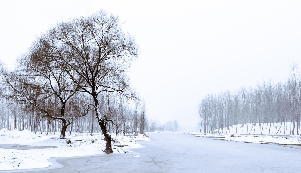 乡村雪景