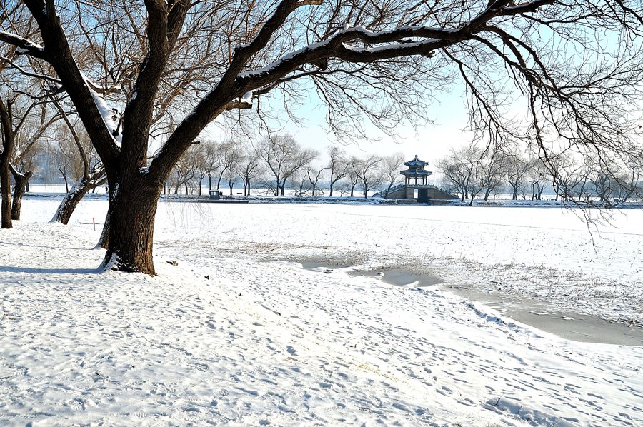 北京初雪